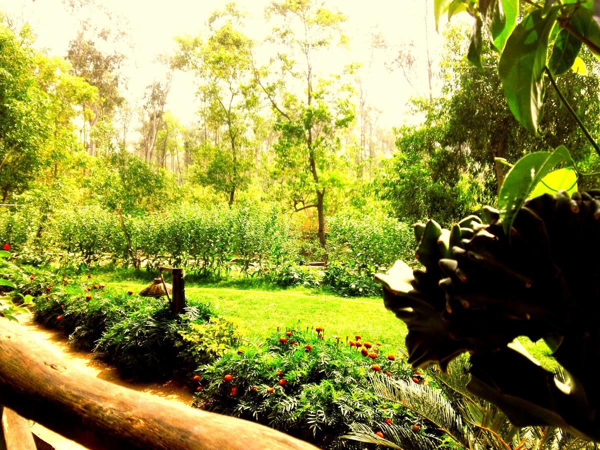 Roshnai Village Resort Bolpur Eksteriør billede